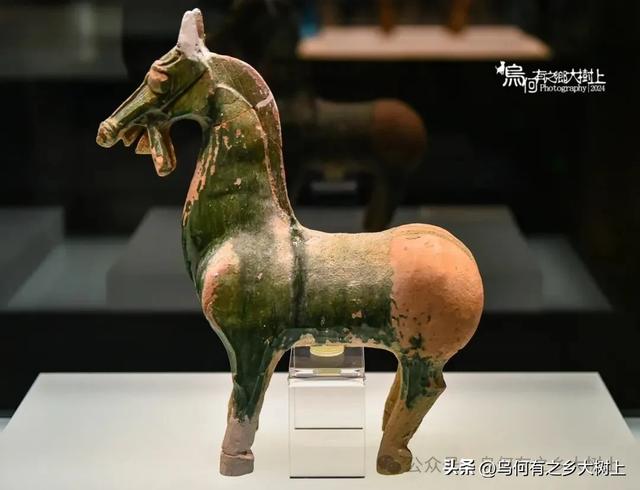 武威市博物馆:丝绸之路“天马故乡”,汉唐高价值文物真多