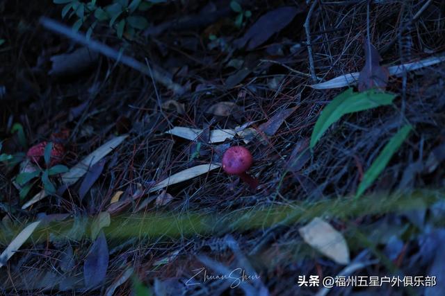 福州户外圣地——白云洞