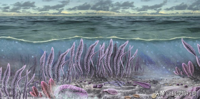 地球是个巨大的培养皿？失败品被一键清除？神秘的埃迪卡拉生物