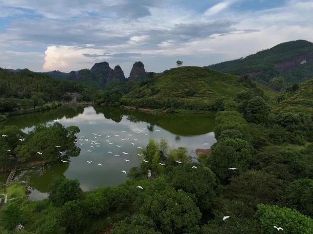 秋天武夷山给你一点颜色瞧瞧