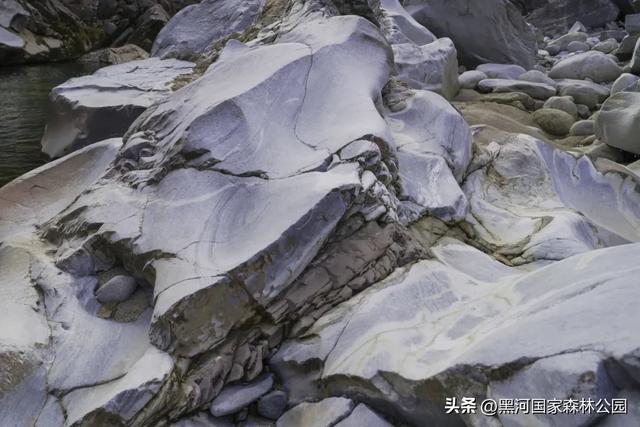 秋意初染，黑河美景正当时！一键开启赏秋之旅~