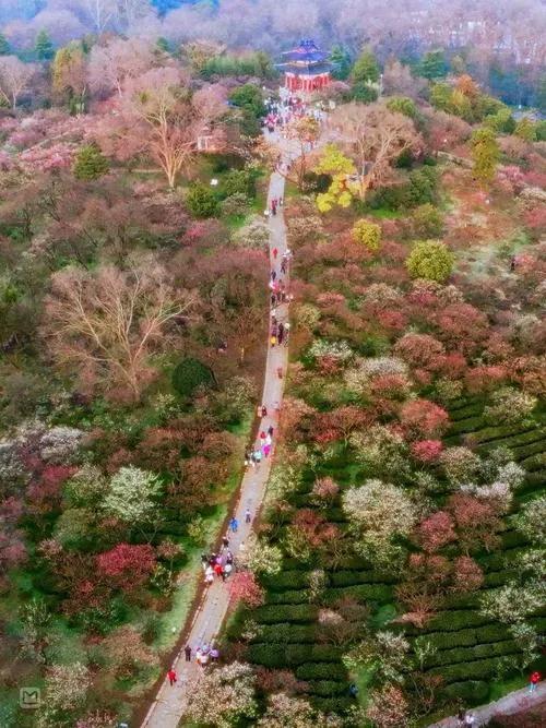 整整花了三天时间,我终于把南京明孝陵游明白了