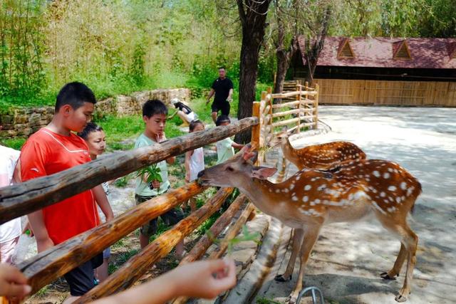 原来真的有城市，可以一天24小时都快乐~（1）