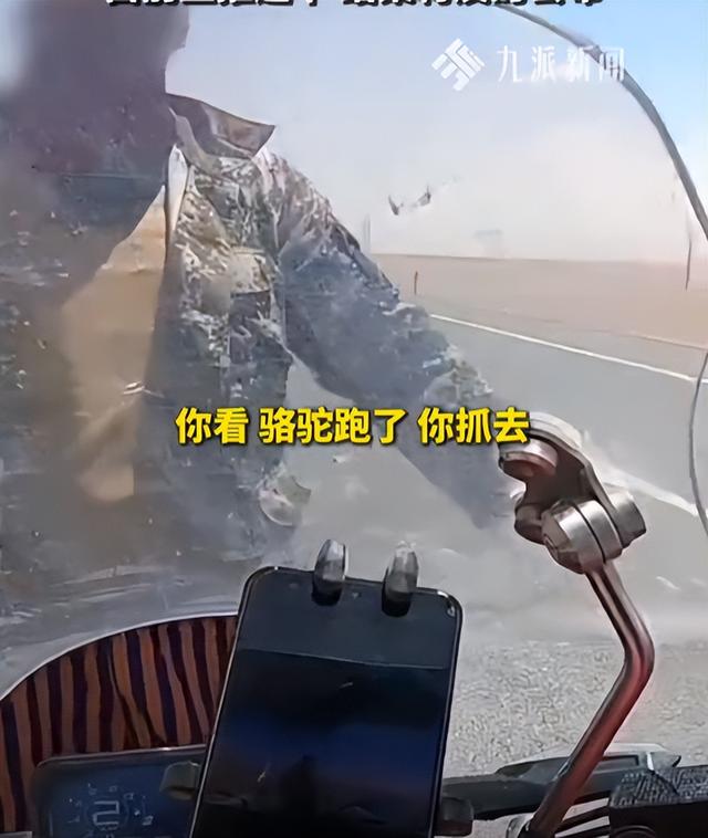 青海游客骑行被暴打后续，牧民凶神恶煞，拦路辱骂扇脸，原因曝光