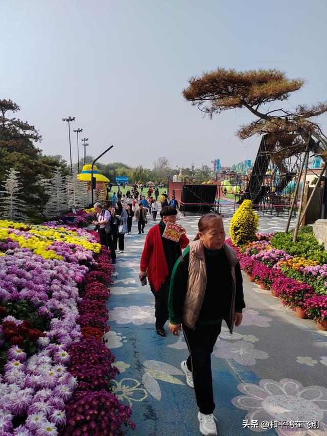 开封万岁山武侠城之约