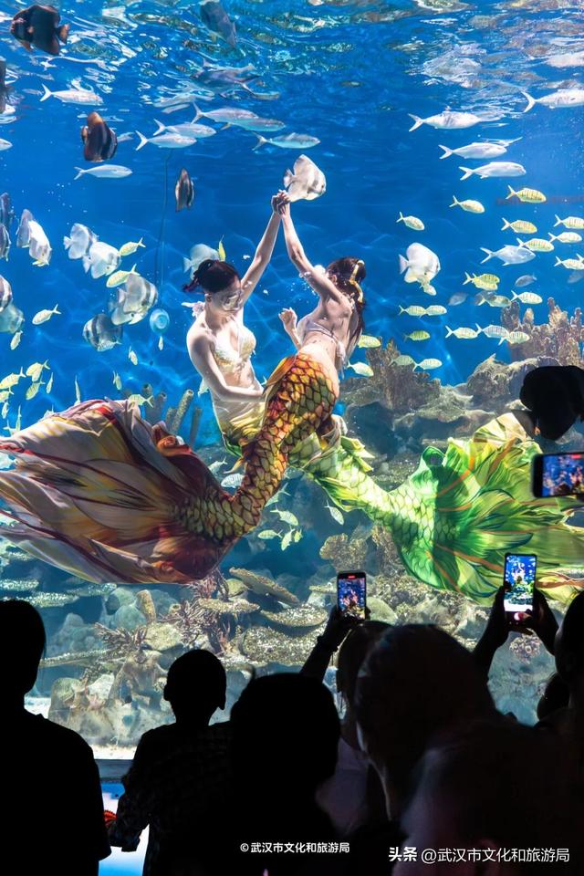 马上过节，免票！