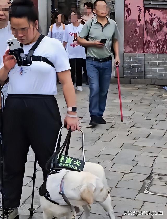 爬泰山的作死夫妻被制裁！导盲犬被收回，身份被扒，家里还有一只