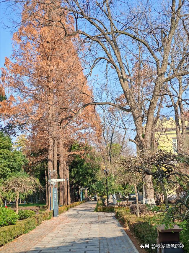 参观南通的中国第一座公共博物馆——南通博物苑，距今120年