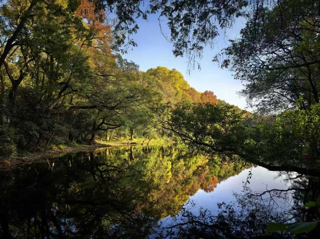 徒步的十大功劳