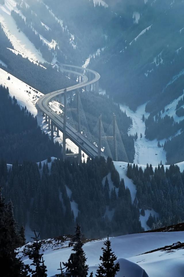 为了这道光，我做了一次疯狂的行动