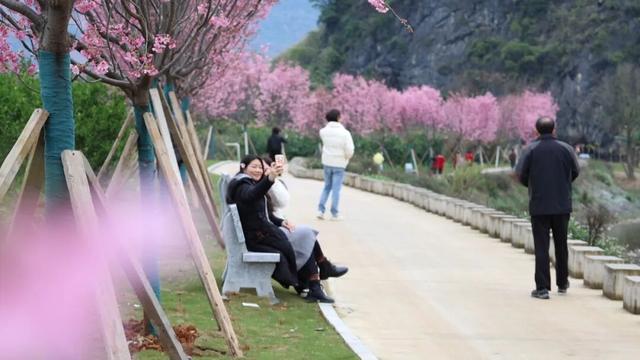 赏樱花除了去南溪山公园，桂林这个新晋网红地也超级好看！