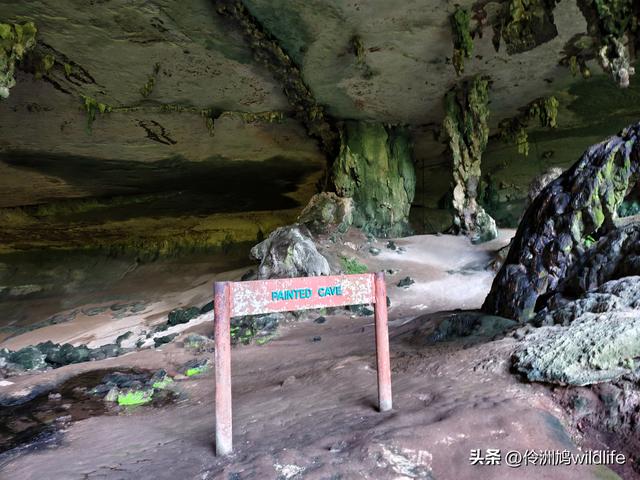 马来西亚(32)砂拉越州⑥世界遗产尼亚洞窟探险