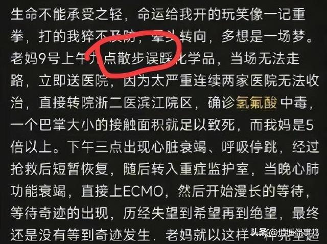 氢氟酸夺命案反转：家属撒谎被拆穿，散步变种菜真相终于大白！