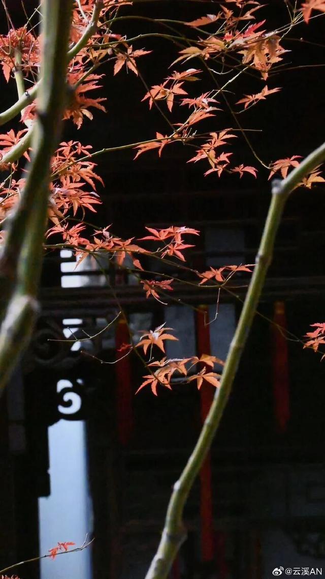 江北这里，红透了！