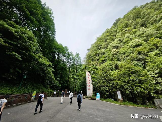 徒步瓦屋山,太艰难了,坚持下来不容易
