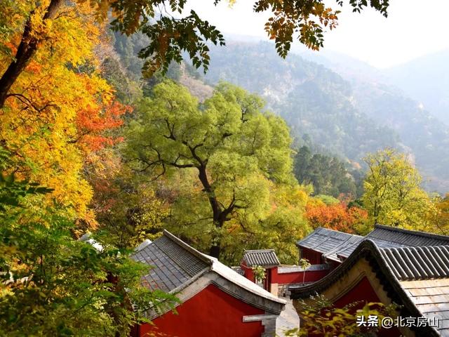 国庆假期圆满收官！房山文旅“火”力全开，秋日精彩不断档！