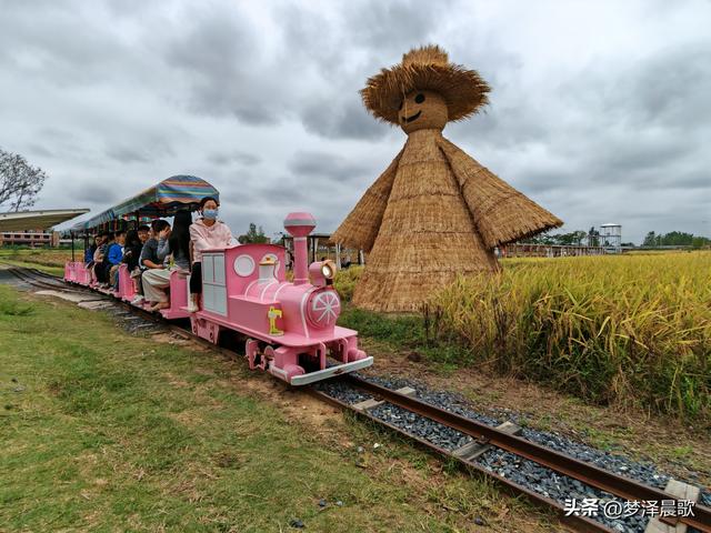 云梦仙境花开十月花雾醉游人