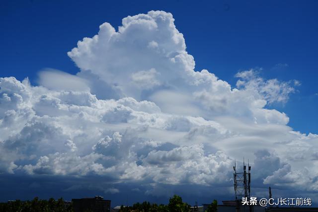 河南淮滨：城区现云海“飘”美景
