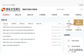 国家开发银行专家库图片