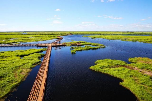 东北的“土”，成了年轻人的香饽饽