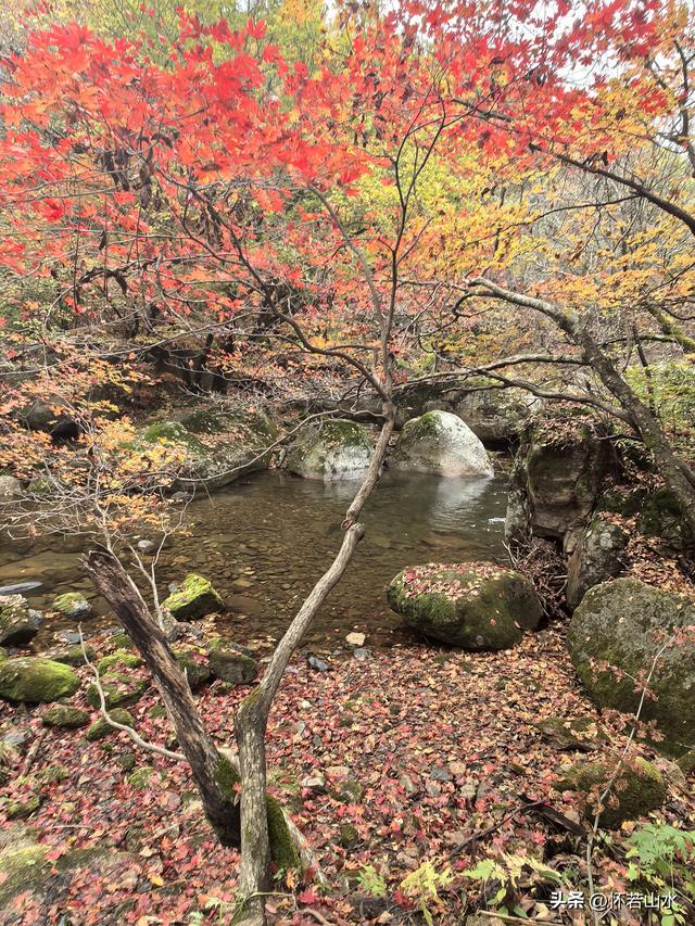 2025辽宁赏秋之旅日记(3)——游览洋湖沟和老边沟