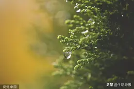 秋雨后说凉就凉！全省降温2~6℃图片