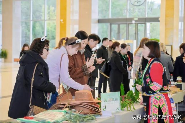 科技与历史，双倍惊喜！“全球熊猫伙伴四川行”首站探寻绵阳魅力