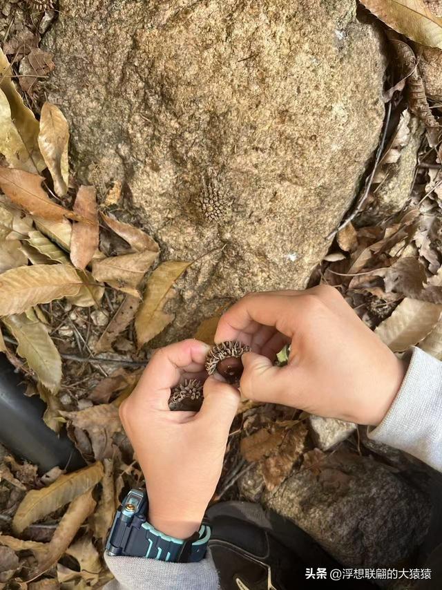 泰安岱岳区曹家庄隐佛崖打山泉水游记