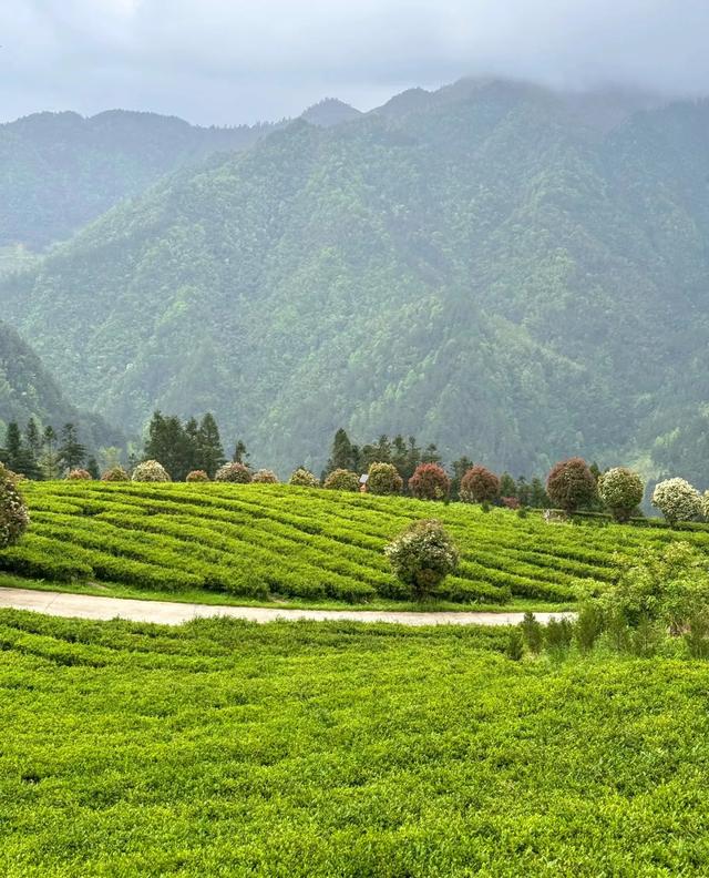 我是成都人，刚从湖南新化回来，憋了6个感受不吐不快