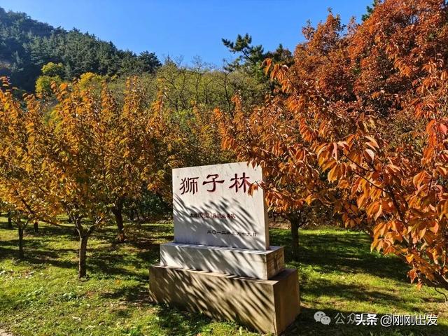 大连城山，挑战台阶之最，金龙寺森林公园风景太美了