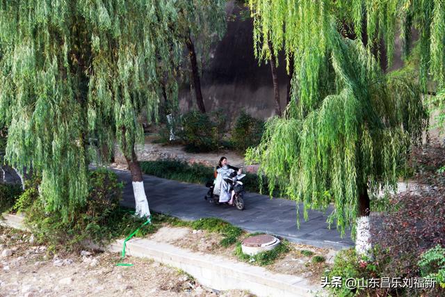 彩虹桥（亚星桥）·及其它