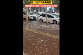 强对流突袭河南！鹤壁、安阳、商丘等多地下冰雹，局地刮12级大风图片