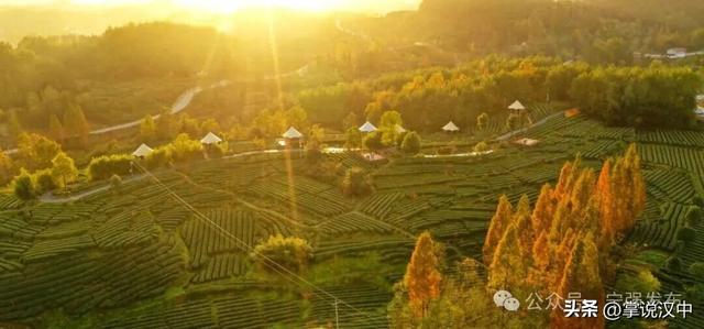 抢“鲜”看！宁强县“双节”文旅活动出炉→