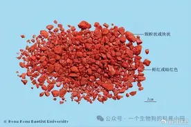 同仁堂仁丹汞含量超标5万倍，多平台下架产品后当天又上架图片