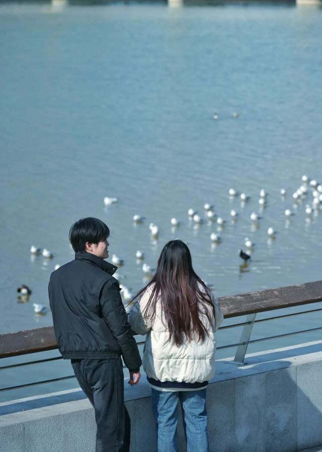 走，成都出发看“海鸥”！24分钟拢德阳，动车5分钟一趟说走就走