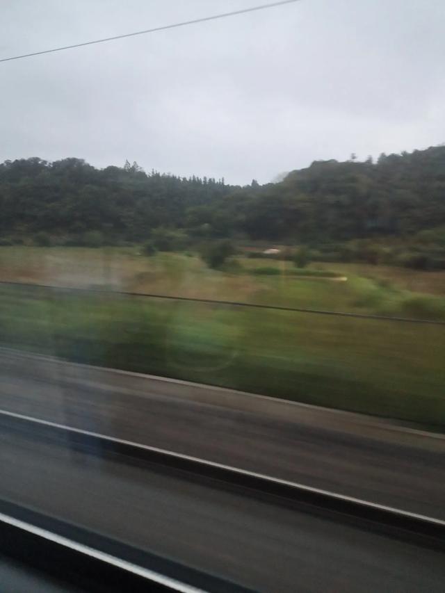 广州之旅