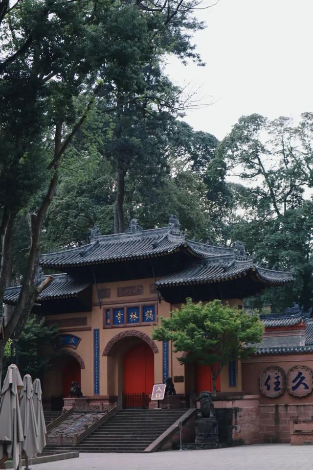 周末就冲！亲测3条被严重低估的徒步线，林海吸氧峡谷石窟！全部免费最快40min飙拢！