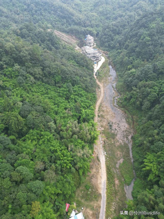 成都徒步（69）·彭州篇⑯法藏寺环线（桥断未走通）