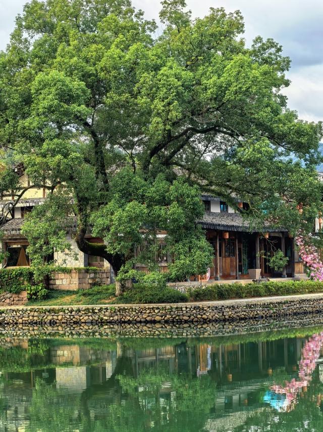 刚从温州回来，毫不夸张的说：未来最有闯劲的城市肯定是温州