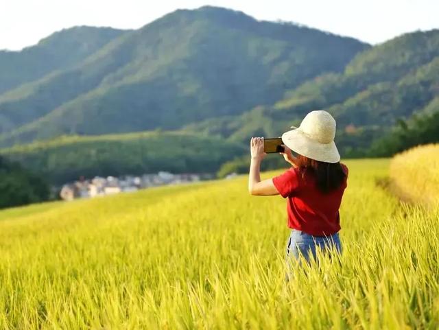 秋日限定！速来围观肇庆的绝美风光~