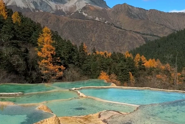 秋天去哪？我一般听到“阿坝”就睁眼！