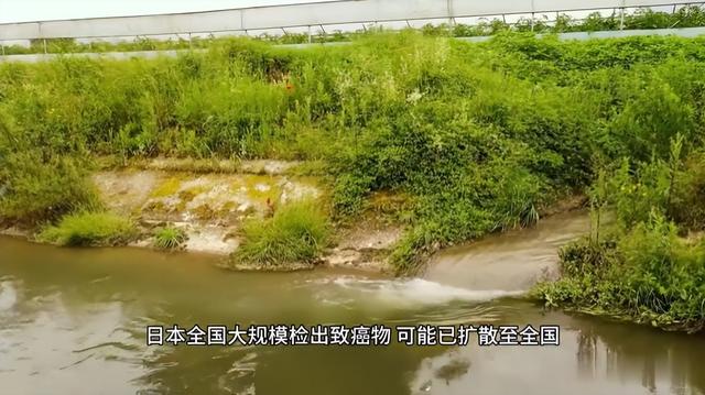 日本全国大范围检出致癌物！轰动世界！全日本陷落！