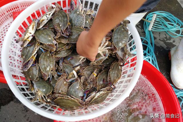 中国哪里的梭子蟹最好吃？经过评比，这8个地方上榜，有你家乡吗