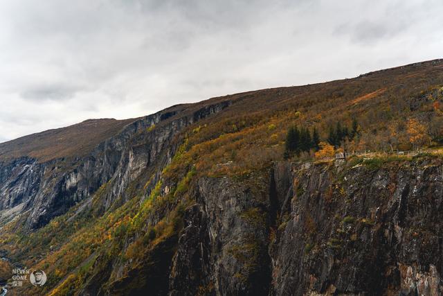 挪威秋韵，峡湾森境