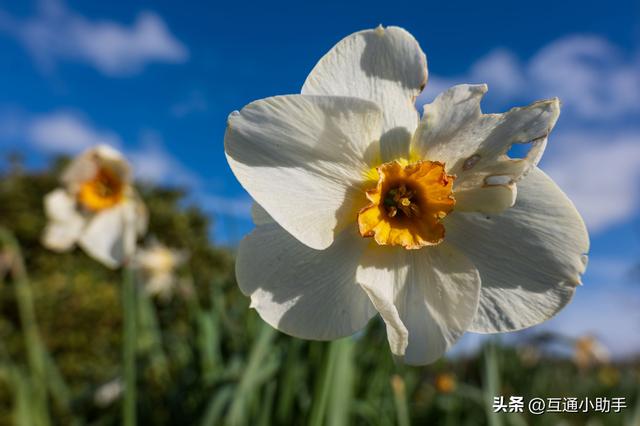 松下Lumix S 28-200mm F4-7.1 Macro OIS 镜头评测