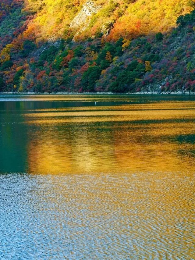 松坪沟的秋天，把油画里的颜色都搬来了吧