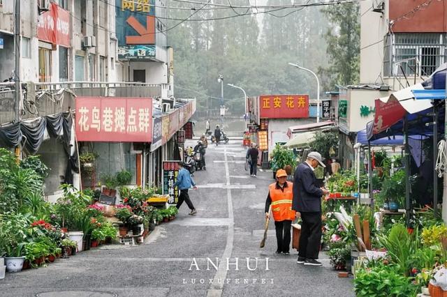山清水秀的小城六安,竟然藏着这么多传奇故事!