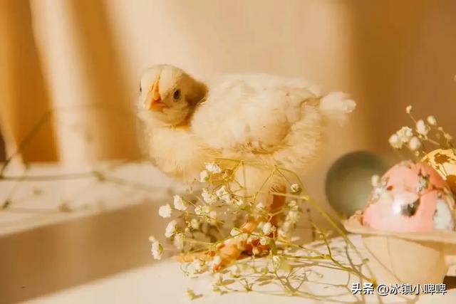 一个女人克不克夫，一眼识破：克夫的女人有这五个特征