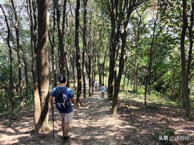 秋日徒步，广州金麦线全记录，稍带强度的亲子路线