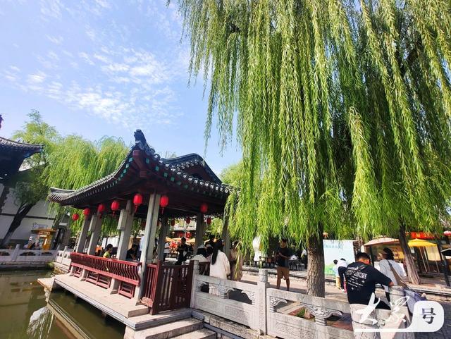 明湖垂柳曼妙多姿 游人如织景致如画